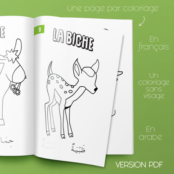 Coloriages sans visage – Animaux de la ferme