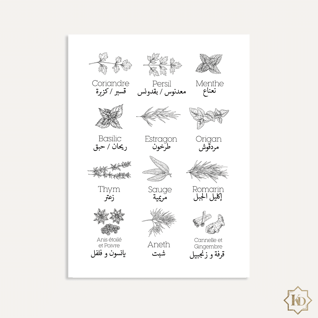 Herbes aromatiques en français et arabe